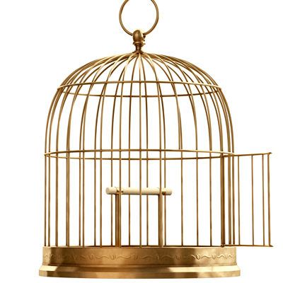 human sized cage - Google Search Open Bird Cage, Hanging Bird Cage, Pvc Pipe Crafts, Life Drawing Reference, Bird Cages, Bird Decor, Gothic House, Pretty Photos, Bird Drawings