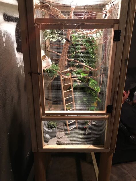 Homemade Chameleon Screen Cage  (I'm sure you can probably build it better than we did, was not hard at all to make!) p.s. use a ruler for correct measurements lol Also, have plastic on the outside of the cage on the sides where the wall & wires are so it does not moisten the walls and so it can keep the humidity in. Chameleon Cage Setup Ideas, Diy Chameleon Cage, Chameleon Cage Ideas, Chameleon Terrarium, Chameleon Enclosure, Chameleon Care, Chameleon Cage, Frog Tank, Enclosure Ideas