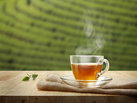 Diy Fertilizer, Green Tea For Hair, Detox Tea Recipe, Iaso Tea, Best Herbal Tea, Tea Health Benefits, Green Tea Benefits, Tea Benefits, Tea Companies