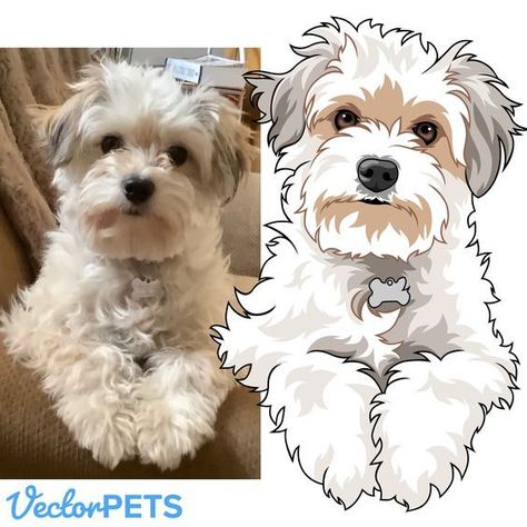 Morkie Dog Painting, Cartoon Pet Portraits, Yorkie Illustration, Digital Lineart, Cute Dog Illustration, Cartoon Dog Drawing, Pets Illustration, Dog Illustration Art, Dog Portraits Illustration