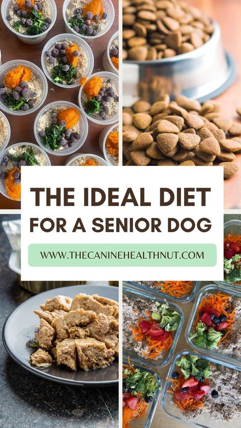 Senior Dog Food, Senior Dog Food Recipes, Diy Dog Food, Make Dog Food, Senior Dogs, Raw Dog Food Recipes, Raw Diet, Dog Nutrition, Dog Diet