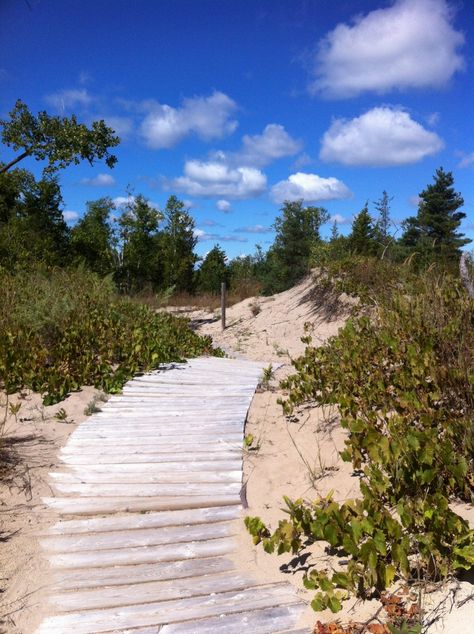 Sandbanks Provincial Park, Sandbanks Ontario, Sandbanks Dorset, Nature Parks, Prince Edward County Ontario, Reference Board, Travel Vibes, Landscape Inspiration, Dream Summer