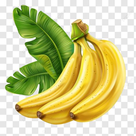 tropical banana fruit tropical banana fruit png Pisang Png, Banana Png, Banana Clipart, Tropical Snacks, Png Fruit, Tropical Desserts, Fruit Png, Fruit Banana, Lemongrass Spa