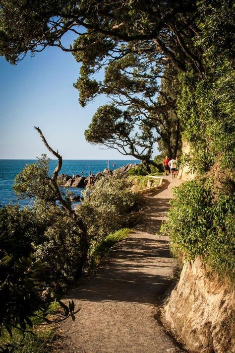 Mount Maunganui Base Track (New Zealand): Top Tips Before You Go - TripAdvisor Tauranga New Zealand, Contemporary Landscapes, Cheap International Flights, New Zealand Beach, Environment Reference, Mount Maunganui, Visit New Zealand, Nature Scenery, International Flights