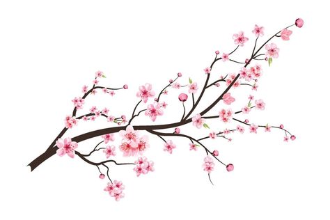 Cherry blossom with blooming watercolor Sakura flower. Realistic Sakura flower branch. Japanese Cherry blossom vector. Cherry blossom branch vector. Watercolor cherry flower illustration. Floral Tattoos, Sakura Flower Tattoo, Cherry Blossom Vector, Cherry Blossom Drawing, Japanese Flower Tattoo, Cherry Blossom Watercolor, Sakura Bloom, Branch Vector, Pink Sakura