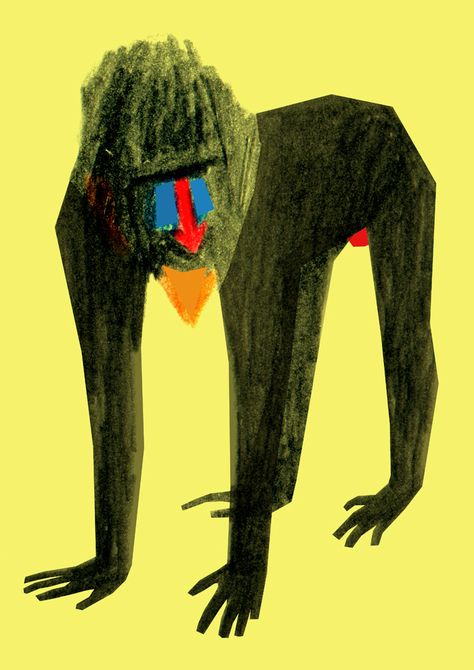 Mandrill on Behance Illustration Design Graphique, Animal Illustration Art, Mandrill, Monkey Art, A Monkey, Art Et Illustration, Arte Animal, Weird Art, Pablo Picasso