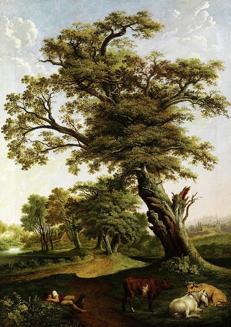 Trees In Landscape, Large Oak Tree, Graphic Drawings, Landscapes Paintings, Painting Trees, Oak Grove, Tree Themes, Dutch Golden Age, Rural Scenes