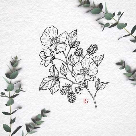 Blackberry Flower, Blackberry Plant, Blackberry Tattoo, Blackberry Plants, Wildflower Tattoo, Floral Tattoo Sleeve, Plant Tattoo, Botanical Tattoo, Desenho Tattoo