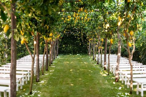 Pasta, Pizza, and Amore at This Wedding in Capri Wedding Ceremony Italy, Sugokuii Events, Capri Wedding, Lemon Garden, Italian Vibes, Tiffany Engagement, Lemon Trees, Amalfi Coast Wedding, Capri Style