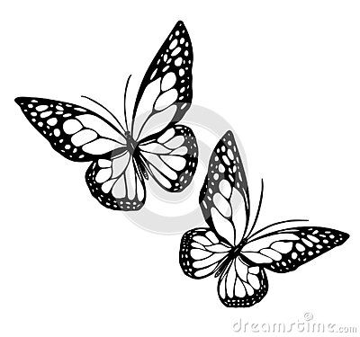 Butterfly Stencils, Vector Butterfly, Ornament Painting, Butterfly Outline, Butterfly Stencil, Stencil Decor, Black White Tattoos, Paper File, Butterfly Tattoo Designs