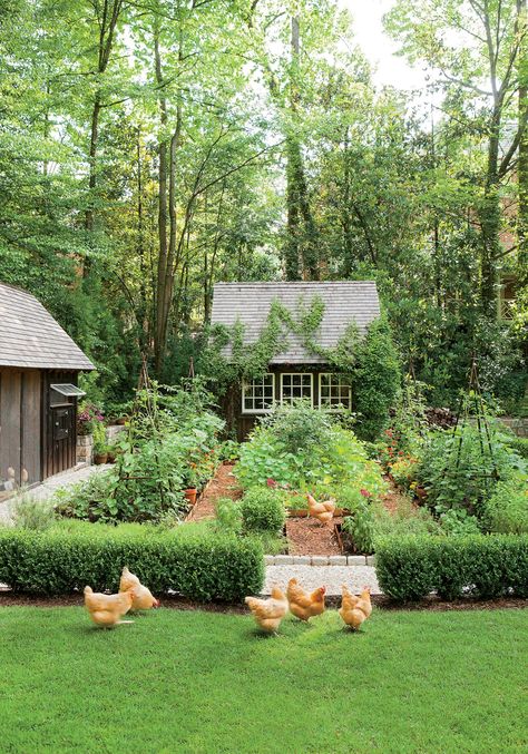 Garden Wallpaper, Garden Area, The Secret Garden, Vegetable Garden Design, Garden Care, Veggie Garden, Garden Cottage, Country Gardening, Butterfly Garden