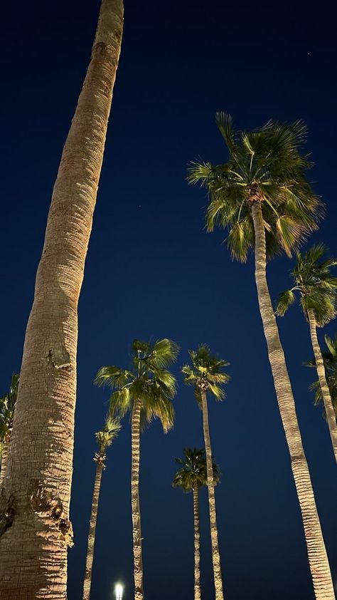 Bad Christmas, Palm Trees Wallpaper, Iphone Lockscreen Wallpaper, Night Scenery, Pretty Landscapes, Iphone Background Wallpaper, Night Aesthetic, Summer Pictures, Be Careful