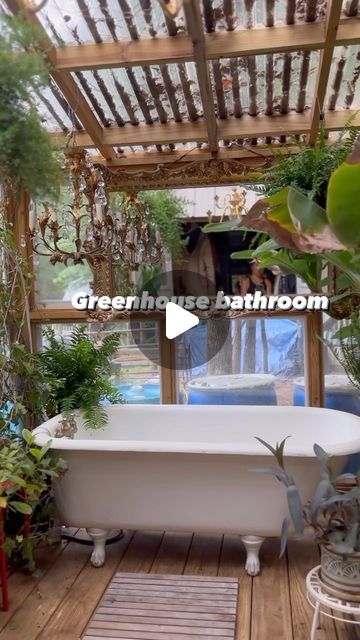 Beloved Cabin Homestead on Instagram: "Welcome to our greenhouse bathroom addition… of our shed home 🌱 🛁 A Staghorn fern would be so nice in here 🥹 . . . . #greenhouseideas #greenhouseinteriors #greenhousegoals #greenhouse #greenhouseinspiration #smallbathroomdesign #bathroominspiration #bathroomidea #bathroomgoals #clawfoottub #homedecorinspo #homeadore #houseplantsofinstagram #houseplantsmakemehappy #plantsarefriends #natureloversgallery #greenarchitecture #howwedwell" Greenhouse With Bathtub, Shower In Greenhouse, Greenhouse Bathroom Ideas, Bathtub Greenhouse, Greenhouse Shower Ideas, Green House Bathroom, Bathroom Greenhouse, Greenhouse Bedroom, Greenhouse Bathroom