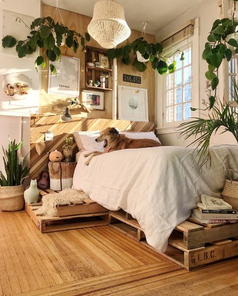 10 Fresh Ways To Decorate With Plants In Every Room Of The House Lots Of Plants, Interior Boho, College Dorm Room Decor, Trendy Bedroom, Bedroom Layouts, Decor Minimalist, Rustic Bedroom, Room Inspiration Bedroom, Room Ideas Bedroom