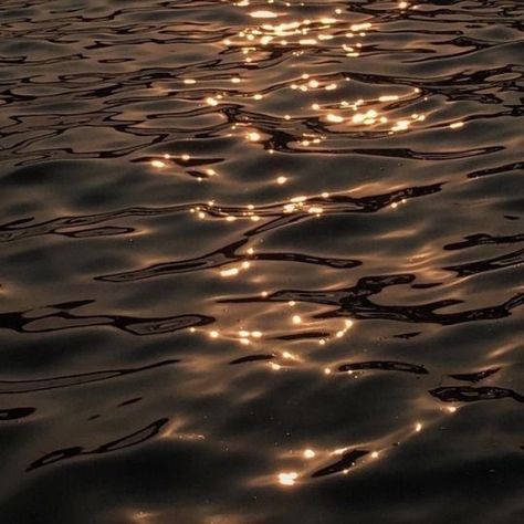 Water Aesthetic, Gold Aesthetic, Into The Wild, Dark Academia Aesthetic, Brown Aesthetic, In The Ocean, Night Aesthetic, Nature Aesthetic, Aesthetic Backgrounds