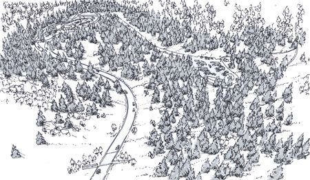 Forest From Above, Armor Drawing, Forest Drawing, Settlers Of Catan, Amazing Images, Fantasy Map, Vector Illustration Design, Coloring Book Art, Monster Hunter