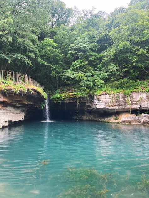 and we’re on the road again- how shocking?! we spent the morning hiking and taking a dip in this little swimming hole that we had all to ourselves, it was so lovely. midwest travel. roadtrip. adventure travel. swimming hole. hiking trail. Dogwood Canyon, Waterfall Hike, Hannah Grace, Swimming Hole, Midwest Travel, Waterfall Hikes, Background Check, Swimming Holes, Hiking Trail