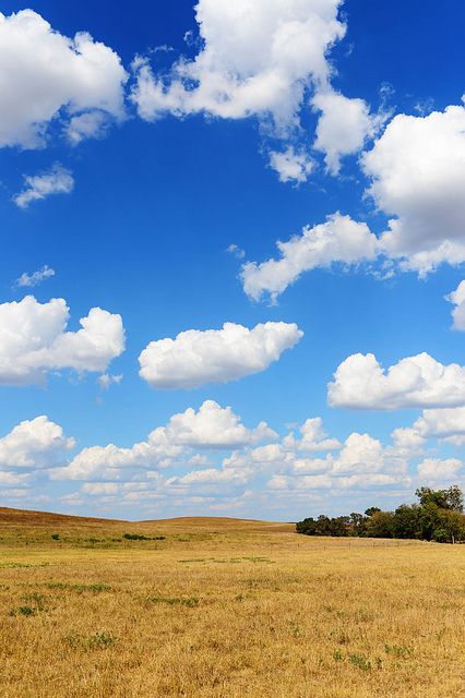 1:1 Photo, Afternoon Background, Air Pictures, Sky With Trees, Morning Background, Cloud Pictures, Background For Editing, Blue Sky Photography, Blue Sky Wallpaper