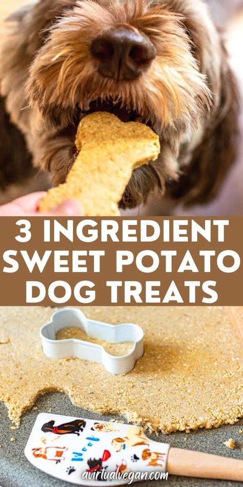 Wheat Free Dog Treats, Healthy Dog Biscuits, Vegan Dog Treats, Dog Cookie Recipes, Sweet Potato Dog, Sweet Potato Dog Treats, Potato Dog, Pet Treats Recipes, Healthy Sweet Potato