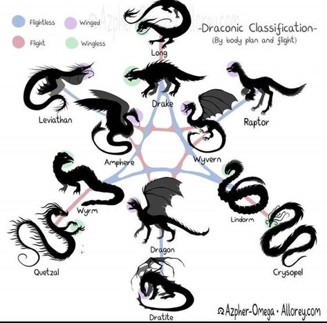 and i littereally live by this Dragon Anatomy, Types Of Dragons, Dragon Sketch, Mythical Animal, Creature Drawings, Monster Concept Art, Fantasy Creatures Art, Dragon Artwork, Mythical Creatures Art