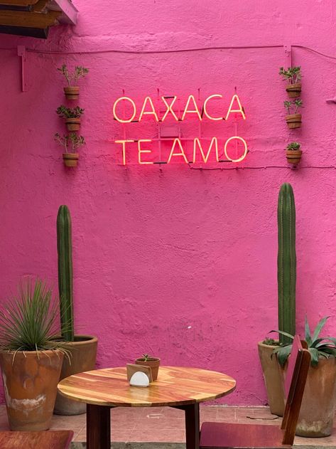 Oaxaca Travel, Best Restaurants, Travel Guide, Make Your, Wall, Pink, Travel, Art, Mexico