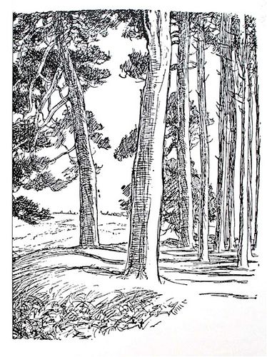 The Hundred Acre Wood, by E. H. Shepard E H Shepard Illustration, Woods Sketch, Woods Illustration, Eh Shepard, Wood Illustration, Wood Wall Art Diy, Silhouette Clip Art, Art Painting Gallery, Tree Drawing