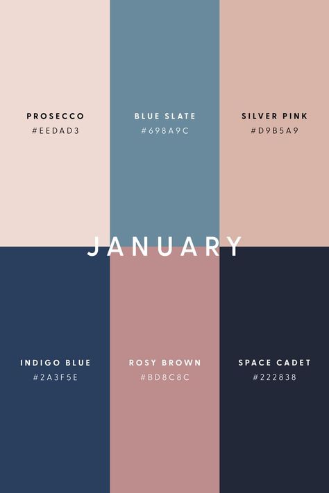 Motion Graphics Video, January Colors, Mountain Sunrise, Color Design Inspiration, Hex Color Palette, Color Schemes Colour Palettes, Brand Color Palette, A Happy New Year, Color Palate