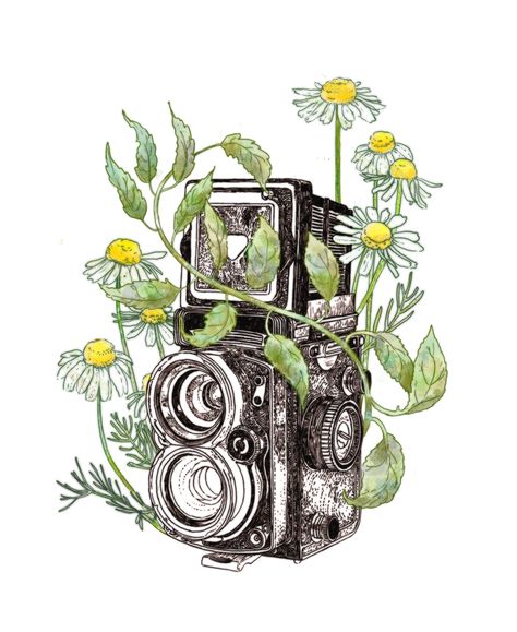 Camera Illustration Art, Vintage Camera Drawing, Vintage Cameras Drawing, Vintage Camera Tattoos, Camera Tattoos, Camera Illustration, Camera Drawing, Camera Art, Fantasy Drawings