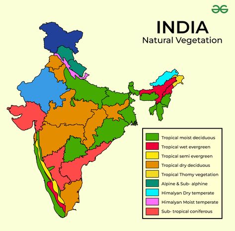 Natural Vegetation in India - GeeksforGeeks Different Types Of Forests, Natural Vegetation, Types Of Forests, Social Science Project, India Poster, Monsoon Rain, Physical Map, Map Projects, Geography Lessons