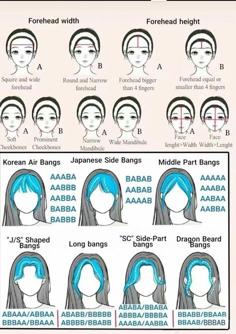 Bangs Length Chart, What Type Of Bangs Should I Get, Hair Bangs Ideas Face Shapes, Bangs Based On Face Shape, Face Shapes For Bangs, Which Bangs For My Face, Sc Bangs, How To Know If Bangs Suit You, Hair Styles With Wispy Bangs