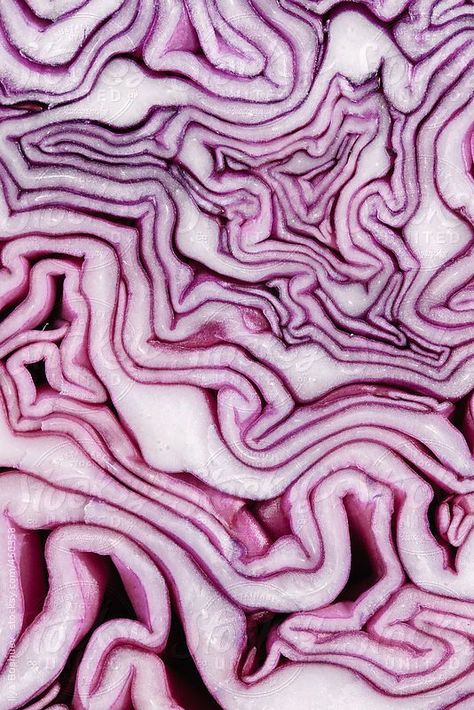 Vegetable Background, Natural Form Art, Pattern Photography, Food Texture, Texture Inspiration, Plakat Design, Texture Photography, Red Cabbage, Foto Inspiration