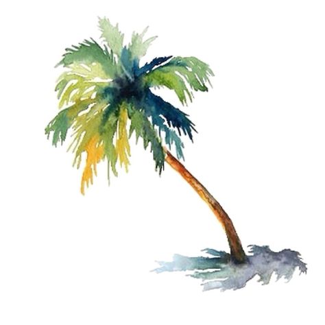 Watercolor palm tree Palm Tree Sticker, Palm Tree Drawing, Tree Watercolor Painting, Palm Trees Painting, Palm Tree Art, Watercolour Inspiration, Beach Watercolor, Watercolor Painting Techniques, Arte Inspo