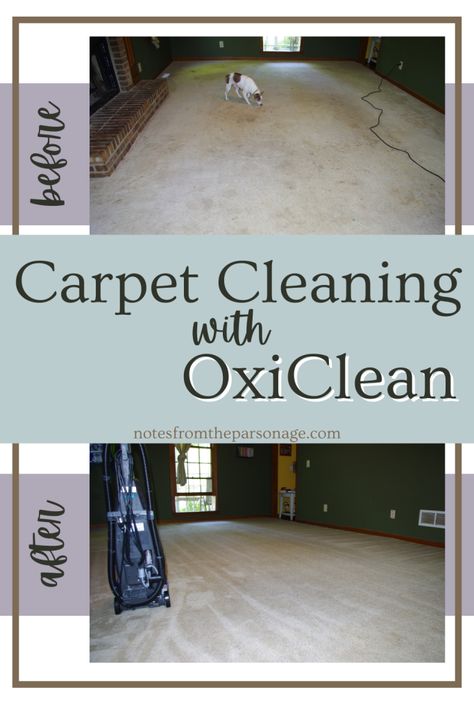 Best Carpet Shampoo Solution, All Natural Carpet Cleaner For Machine, Best Way To Deep Clean Carpets, Carpet Cleaner Hacks, Rug Shampoo Recipe, Carpet Deep Cleaning Diy, How To Clean Badly Stained Carpet, Deep Cleaning Carpet, Oxi Clean Carpet Cleaner