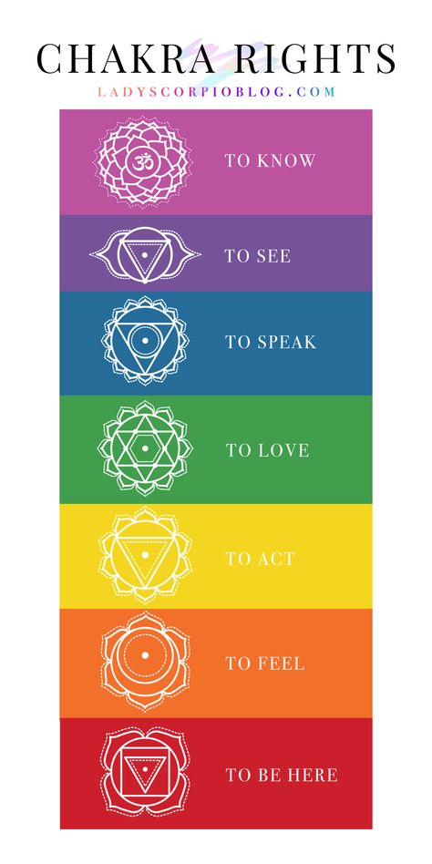 Chakra Painting, Basic Human Rights, Chakra Tattoo, Manipura Chakra, Chakra Health, Arte Yoga, Learn Reiki, The Seven Chakras, Chakra Symbols