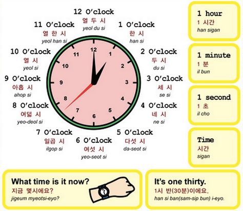 Telling Time in Korean Korea Sentences, Learning Korean Grammar, Learn Basic Korean, Korean Learning, Learn Korean Alphabet, Easy Korean Words, Learn Hangul, Materi Bahasa Jepang, Learn Korea