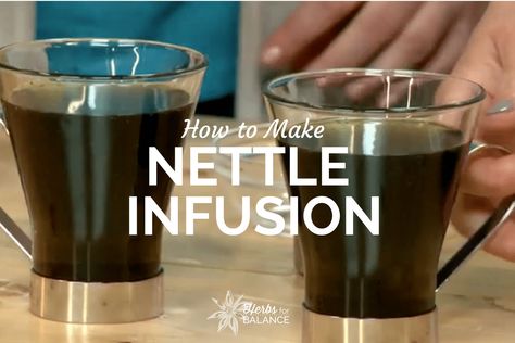 How to Make a Nettle Infusion | Healthy Drink Recipes Nettle Infusion, Detox Cleanse Drink, Cleansing Drinks, Healing Recipes, Joints Pain Relief, Healthy Drinks Recipes, Body Systems, Detox Cleanse, Alternative Health