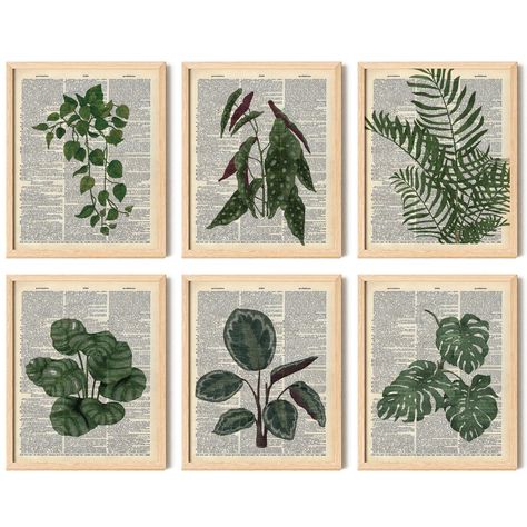 PRICES MAY VARY. Lush Botanical Plant Wall Decor Collection: Immerse your living space in the serene beauty of nature with our Plant Wall Decor Set. This unique collection marries the vibrant energy of green plant wall decor with the intellectual charm of dictionary wall art, creating a refreshing and enlightening ambiance in any room. Set Includes: Our carefully curated set features 6 pieces of 8x10 inch, including Green Plant Art, Botanical Wall Art, and exclusive Book Art. Each piece is a cel Book Room Wall Art, Nature, Green Bathroom Plants, Plant Wall Art Painting, Book Wall Decor Ideas, Boho Wall Posters, Framed Plant Wall Art, Plant Picture Wall Decor, Plant Apartment Aesthetic