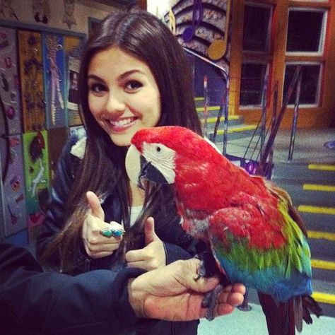 Victoria Justice, Feathers, Victorious Behind The Scenes, Love Made Me Crazy, Tori Vega, Victorious