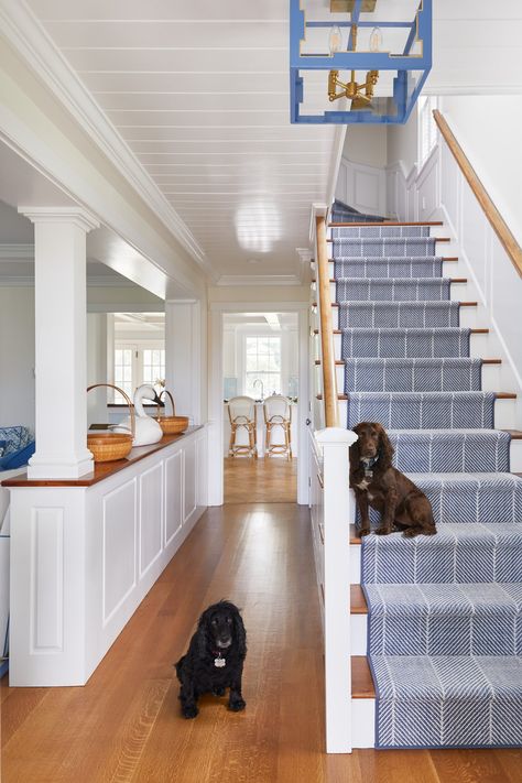 Hamptons Carpet Ideas, Blue Carpet Stairs, Nantucket Beach House Interiors, Modern Nantucket Home, Nantucket Style Kitchen, Nantucket Living Room, Nantucket Bedroom, Nantucket House, Nantucket Style Homes