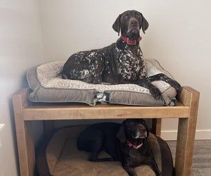 DIY Dog Bunk Beds : 8 Steps (with Pictures) - Instructables Dog Bunk Beds Diy Pallet, Pet Bunk Beds Diy, Bunk Dog Bed, Multi Dog Bed Ideas, Doggie Bunk Beds, Space Saving Dog Bed Ideas, Bunk Beds For Dogs Diy, Large Dog Bunk Beds Diy, Dog Bed Platform Diy