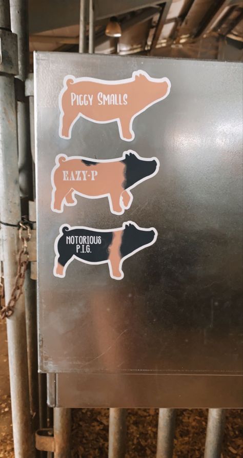 Show Pig Names, Ffa Wallpaper, Show Pigs Tips, Show Pig Quotes, Livestock Show Outfits Pigs, Ffa Motto, Pig Quotes Funny, Ffa Pig Name Signs, Ffa Scrapbook Ideas