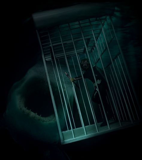 Sea Monster Art, Scary Ocean, Sharks Scary, Deep Sea Life, Shark Cage, Save The Sharks, Dark Tide, Shark Photos, Shark Pictures