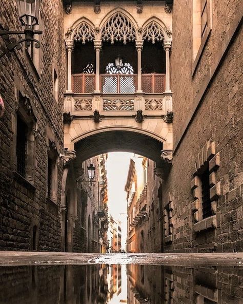 Gothic Quarter, Barcelona Gothic Quarter Barcelona, Modern Parisian Apartment, Modern Parisian, Environment Reference, Balcony Window, Gothic Quarter, House Decor Modern, Modern Deco, Parisian Apartment