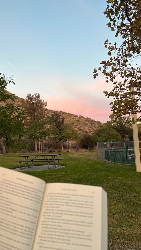 Reading In The Park, Reading Park, Sunset Trees, Park Sunset, Girl Reading Book, Pretty Aesthetic, Fall Reading, Park Pictures, Reading Book