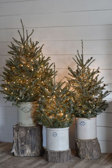 Rustic Christmas Trees in Old Crocks for that Farmhouse, Country, Primitive Decorating Style. Christmas Porch, Film Decor, Country Christmas Trees, Christmas Porch Decor, Country Christmas Decorations, Rustic Christmas Tree, Christmas Style, Farmhouse Christmas Decor, Christmas Decorations Rustic