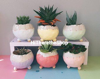 Pastel, Plant Pot Ceramic, Succulent Bowls, Mini Plant Pots, Handmade Ceramic Planters, Pastel Home Decor, Plant Art Print, Pinch Pot, Pot Ceramic