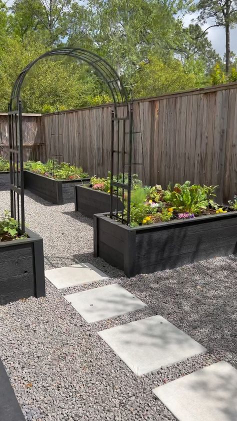 Modern Raised Bed Garden, Planter Boxes Backyard, Gardens With Raised Beds, Half Gravel Half Grass Yard, Raised Garden Beds Layout Small Spaces, Small Veggie Garden Layout, Co Planting Vegetable Garden, Garden Inspo Backyards, Side Vegetable Garden