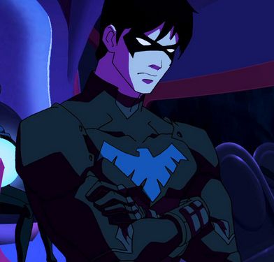 Young Justice Nightwing, Superboy Young Justice, Nightwing Young Justice, Dc Icons, Teen Titans Go, Dc Characters, Young Justice, Fictional Crushes, Batman Comics