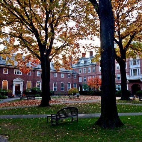 College Architecture, Until Next Time, College Aesthetic, New England Fall, Dream School, University Life, Harvard University, The Secret History, Autumn Aesthetic