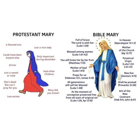 Catholic Theology, Catholic Humor, Catholic Memes, Catholic Beliefs, Christian Jokes, Catholic Quotes, Christian Memes, Blessed Virgin, Catholic Prayers